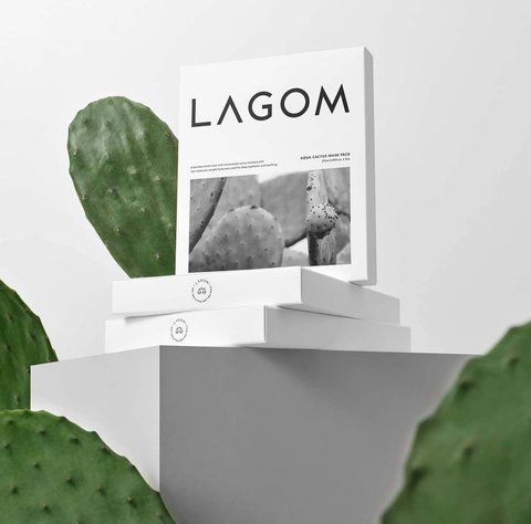 Охолоджувальна Тканинна Маска LAGOM Aqua Cactus Mask Pack lagom0012 фото